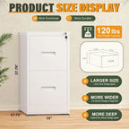 Classeur vertical à 2 tiroirs avec serrure pour le bureau à domicile