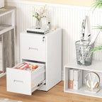 Classeur vertical à 2 tiroirs avec serrure pour le bureau à domicile